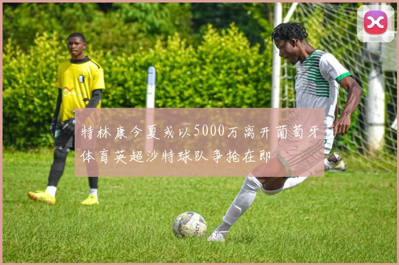 特林康今夏或以5000万离开葡萄牙体育英超沙特球队争抢在即